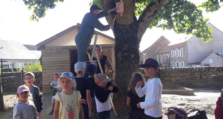 La municipalit&eacute; participe &agrave; l&rsquo;op&eacute;ration nichoirs