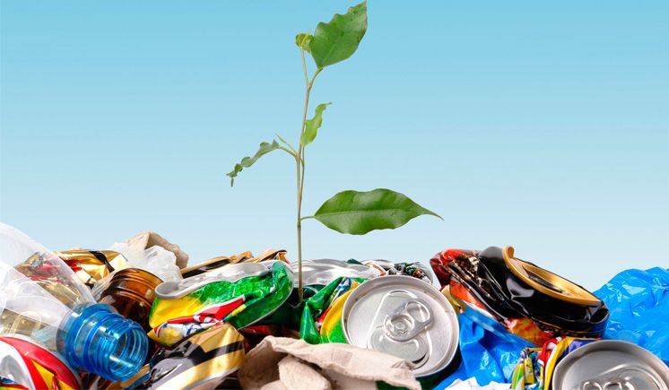 Collecte des ordures m&eacute;nag&egrave;res et tri